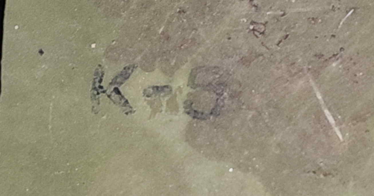 Internal ink stamp K-5 inspection or control mark